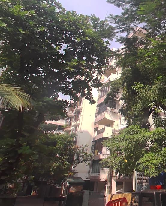 Green Field, Juhu