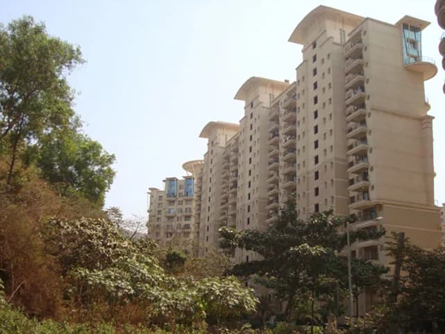 Camellia, Powai