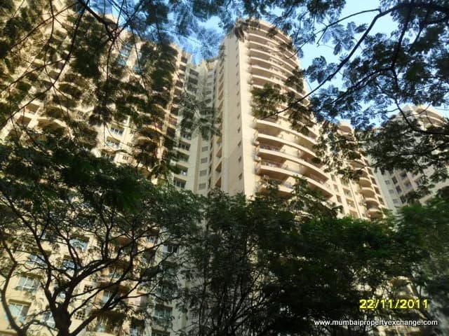 Yucca, Powai