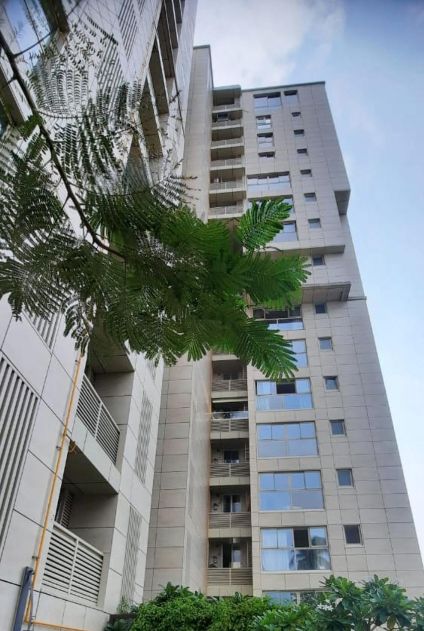 Navroze, Bandra West