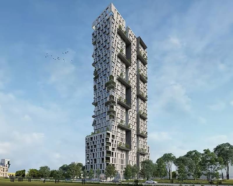The Olive, Thane West