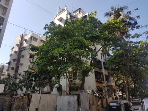 Ivory Tower
