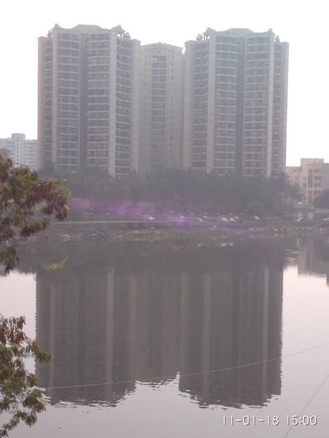 Lake Primrose