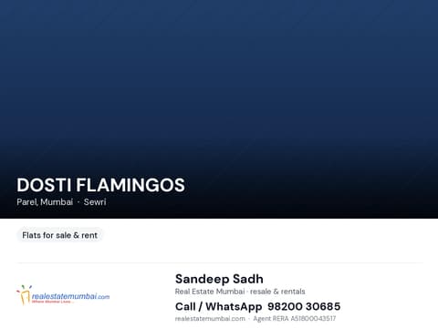 Dosti Flamingos