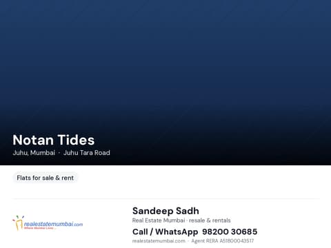 Notan Tides