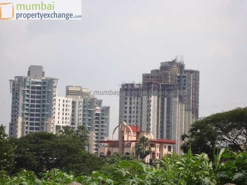 City Of Joy