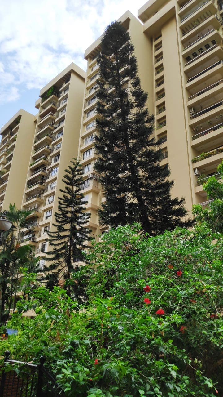 Green Acres in Andheri West - Photo 5