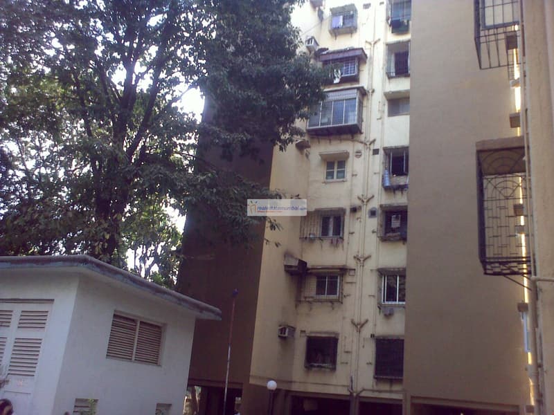 Emerald CHS for rent