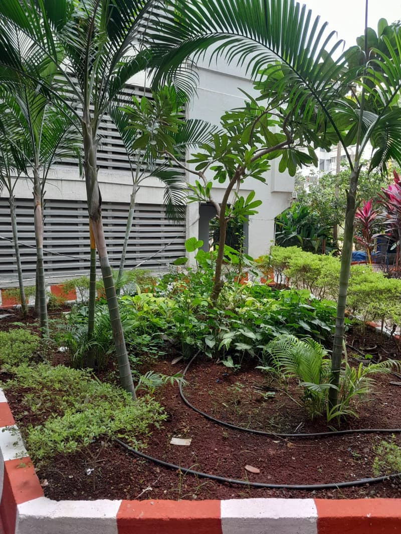 Tarapore Garden in Andheri West - Photo 9