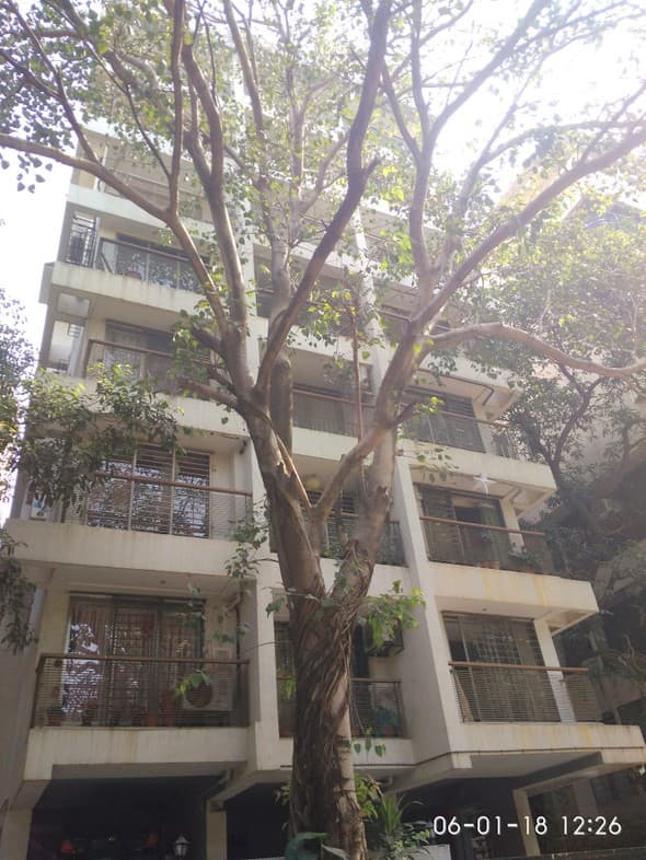 Pushparaj for rent