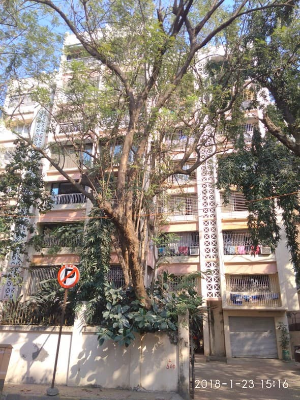 3 Dream Queen for Rent in Santacruz West