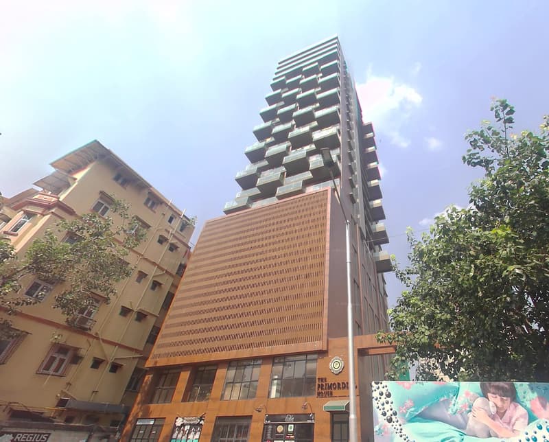Primordial House in Kemps Corner - Photo 1