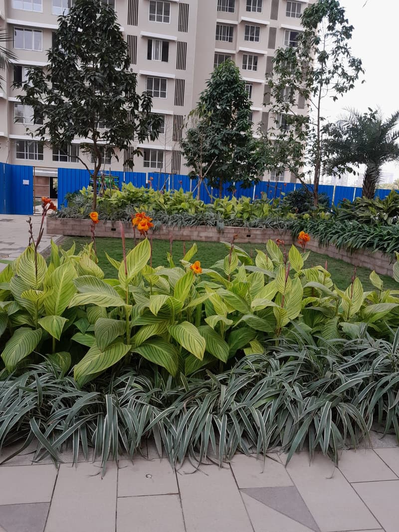 Kalpataru Radiance in Goregaon West - Photo 5