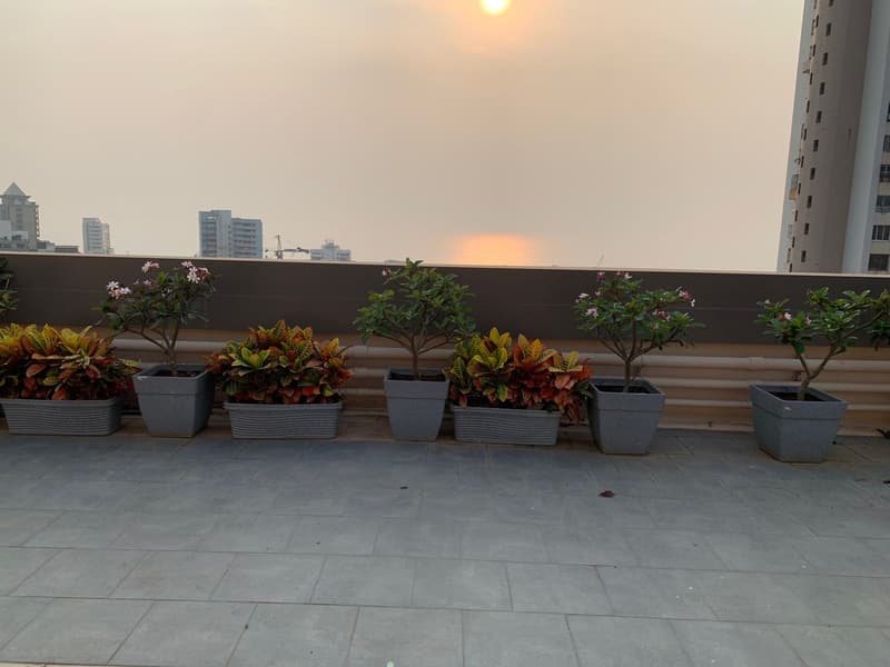 Aurum Arts in Worli - Photo 6