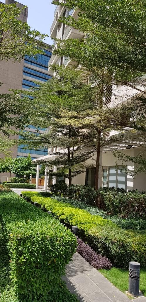 Lodha Primero in Mahalaxmi - Photo 16