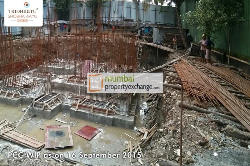 Tridhaatu Shobha Aayu photo 5
