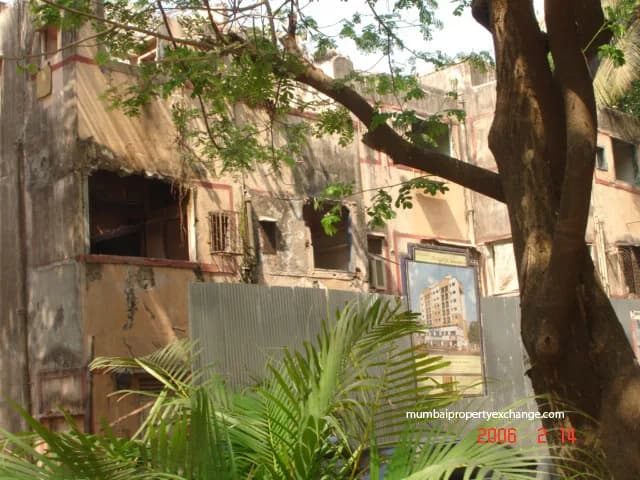 Mangalya photo 4