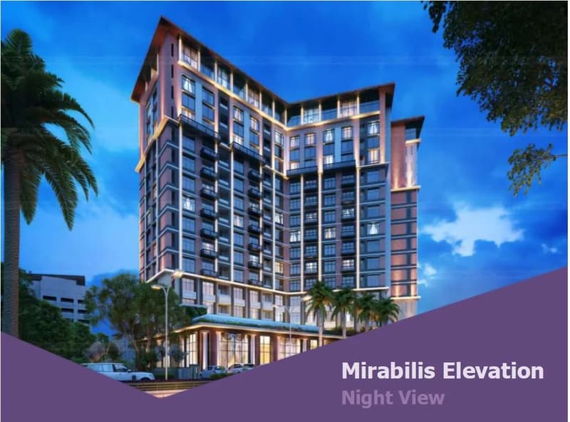 Mirabilis photo 3