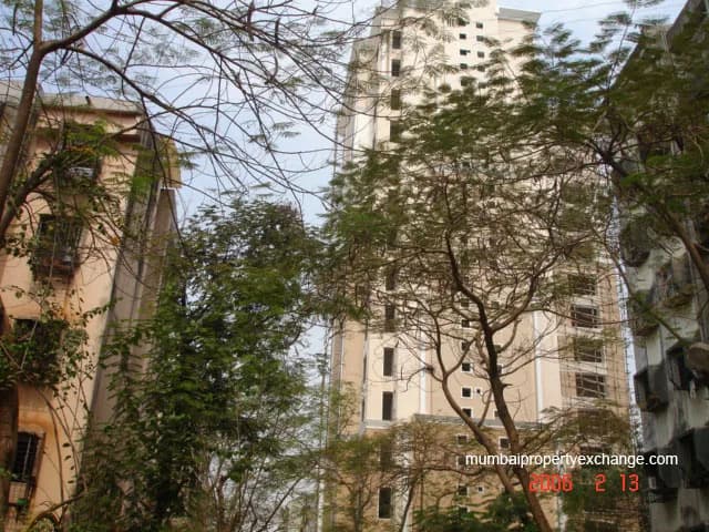 Triveni photo 4