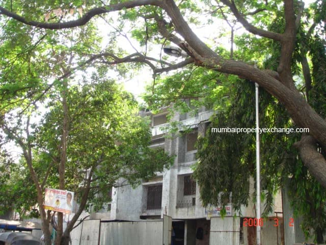 Krsna photo 4