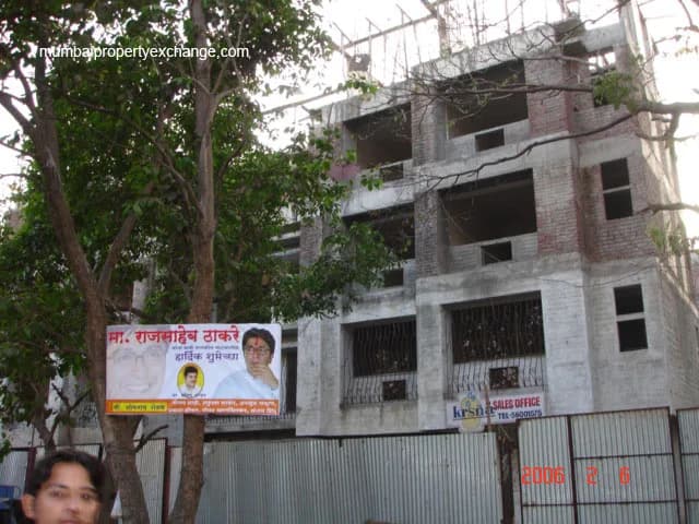 Krsna photo 3