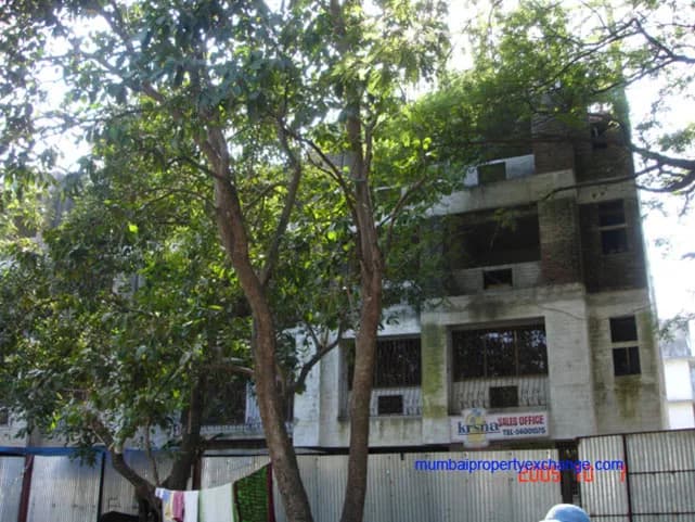 Krsna photo 2