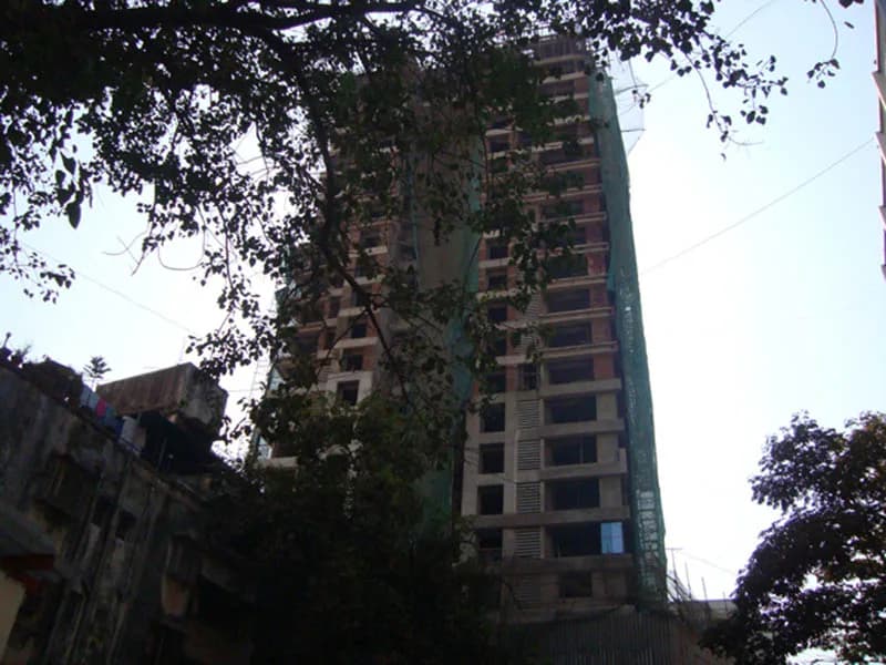 The Majestic photo 5