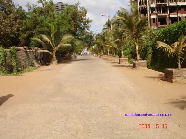 Grace photo 3