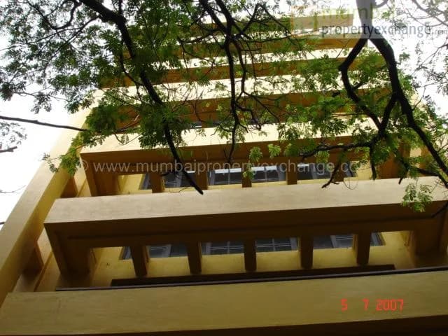 The Ocherive photo 4