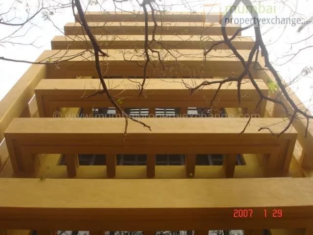 The Ocherive photo 3