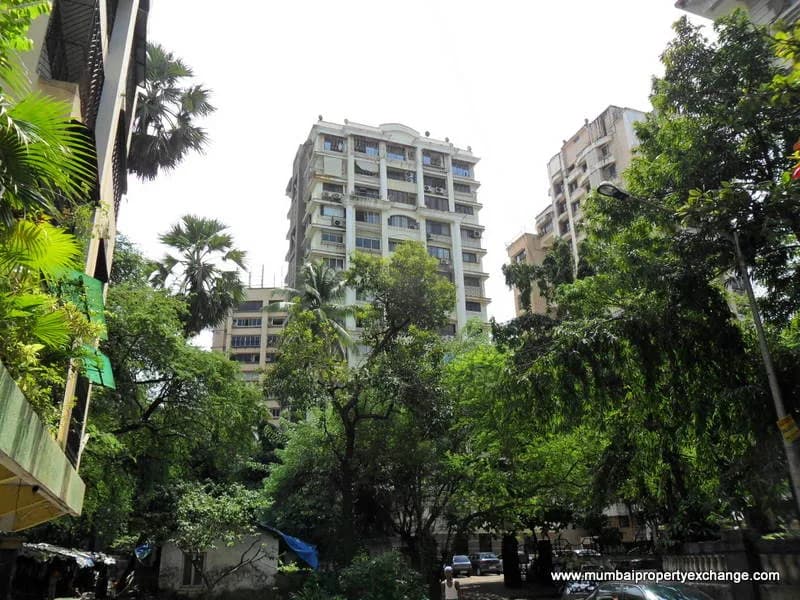 Harmony photo 5
