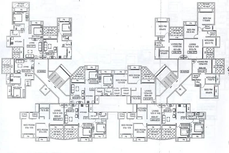 Millenium Orchid photo 2