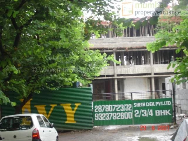 Ivy photo 5