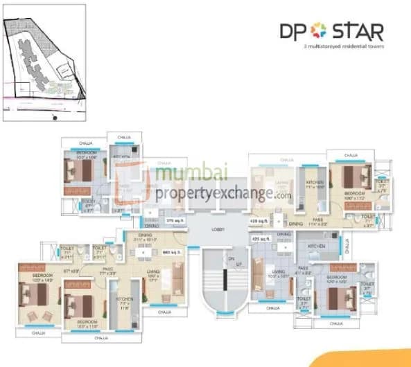 DP Star photo 2