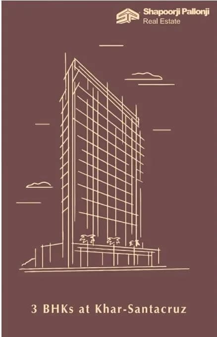 The Designate photo 3