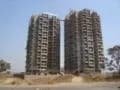 Yashvasin photo 6