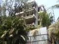 Homestead Gardens photo 3