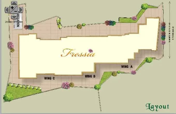 Fressia photo 6