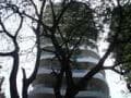 Ever Glades photo 6