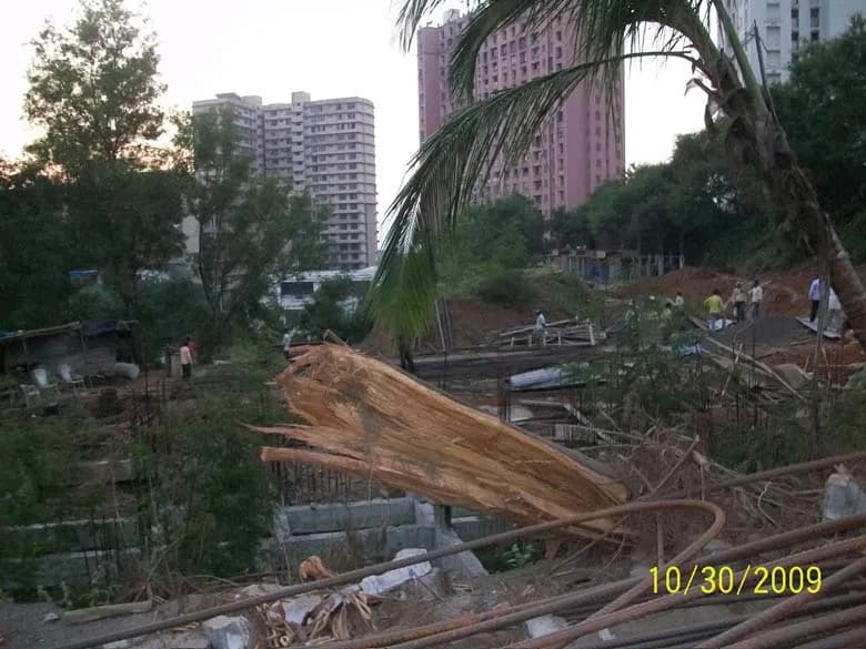 Palm Island photo 5