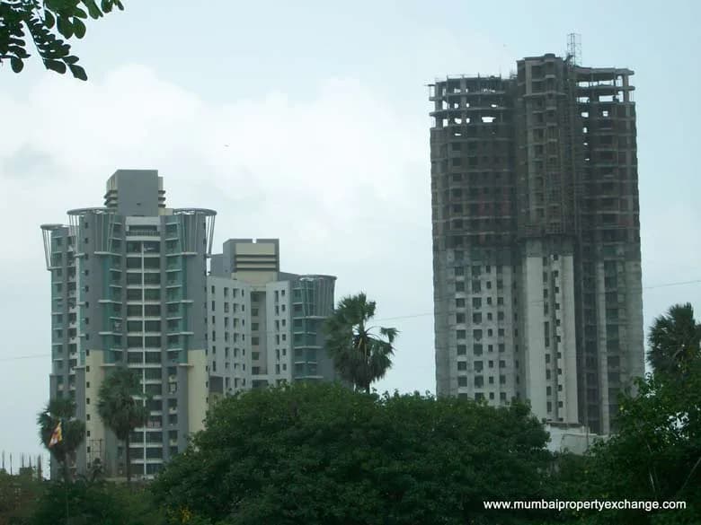 City Of Joy II photo 4