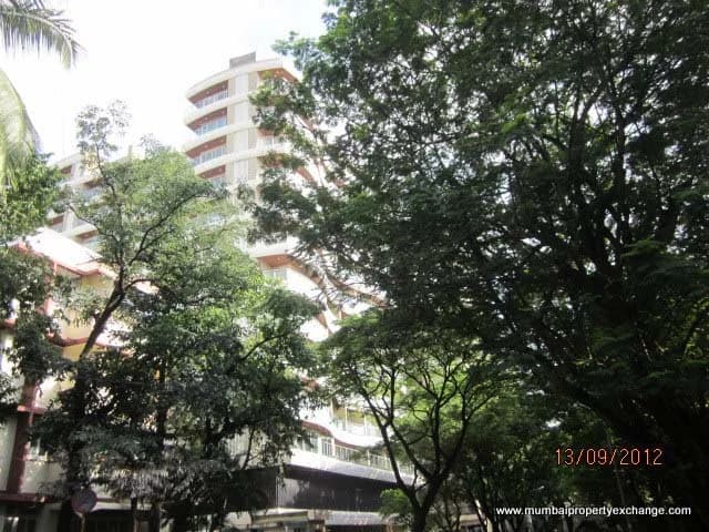 Ariisto Sapphire photo 6