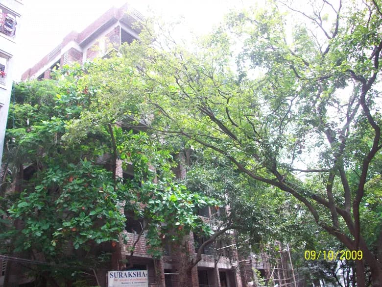 Suraksha photo 3