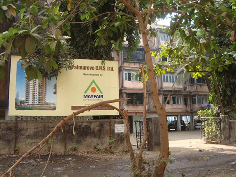 Palm Grove CHS photo 2