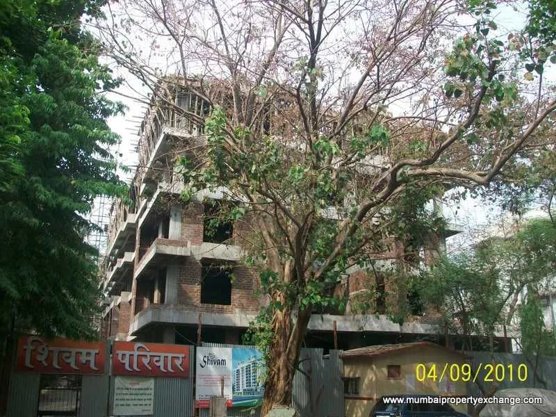 Dhanasampada photo 5