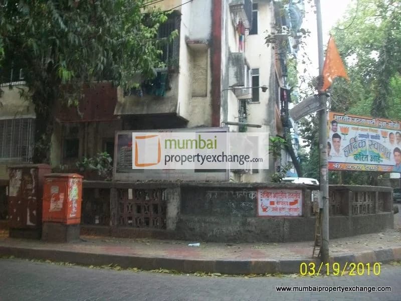 Gokul Silver Mist photo 3