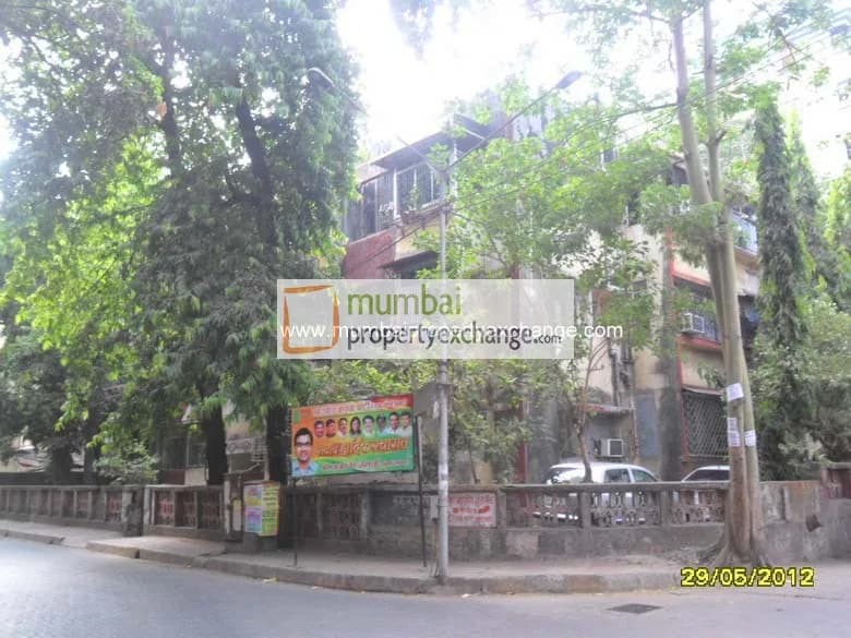 Gokul Silver Mist photo 5
