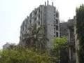Amesh photo 5