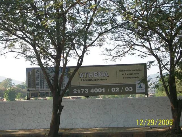 Athena photo 3