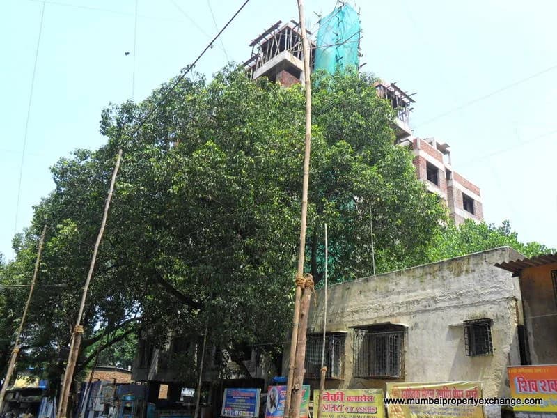 Nirvan Apartments photo 5